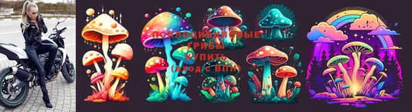 гашиш Богданович