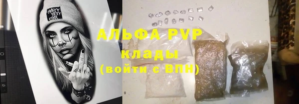 гашиш Богданович