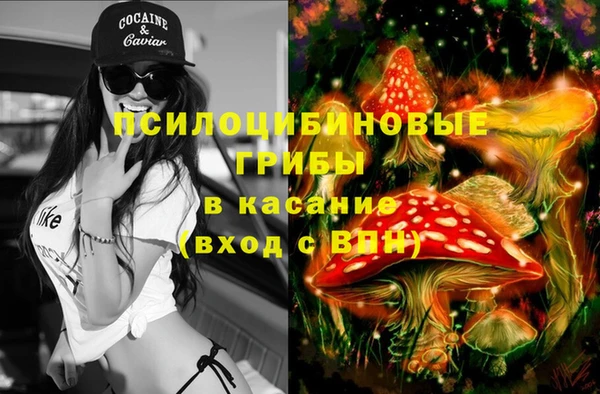 круглые Богородицк