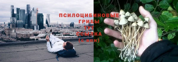 круглые Богородицк