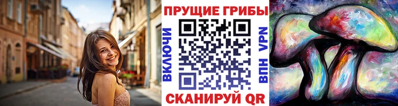 Галлюциногенные грибы Psilocybine cubensis  KRAKEN рабочий сайт  Тихвин 